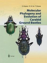 Molecular Phylogeny and Evolution of Carabid Ground Beetles (eBook, PDF) - Osawa, S.; Su, Z. -H.; Imura, Y.