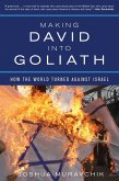 Making David into Goliath (eBook, ePUB)