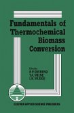 Fundamentals of Thermochemical Biomass Conversion (eBook, PDF)