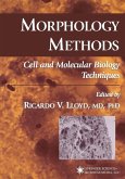 Morphology Methods (eBook, PDF)