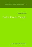 God in Process Thought (eBook, PDF)