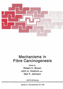 Mechanisms in Fibre Carcinogenesis (eBook, PDF)