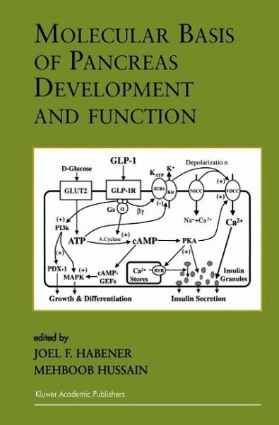 Molecular Basis of Pancreas Development and Function (eBook, PDF)