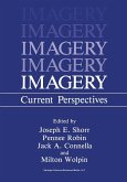 Imagery (eBook, PDF)