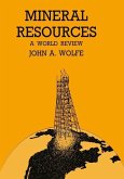 Mineral Resources a World Review (eBook, PDF)