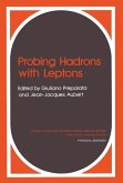 Probing Hadrons with Leptons (eBook, PDF)
