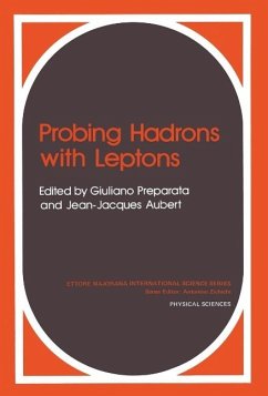 Cover Probing Hadrons with Leptons (eBook, PDF)