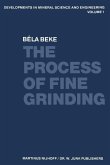 The Process of Fine Grinding (eBook, PDF)