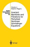Invariant Manifolds and Fibrations for Perturbed Nonlinear Schrödinger Equations (eBook, PDF)