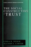 The Social Construction of Trust (eBook, PDF)