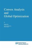 Convex Analysis and Global Optimization (eBook, PDF)