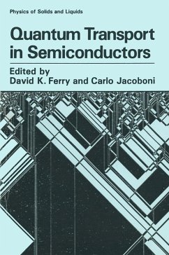 Cover Quantum Transport in Semiconductors (eBook, PDF)