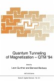 Quantum Tunneling of Magnetization - QTM '94 (eBook, PDF)