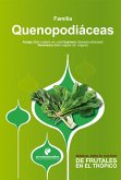 Manual para el cultivo de hortalizas. Familia Quenopodiáceas (eBook, ePUB)
