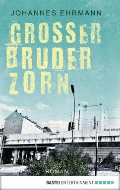 Großer Bruder Zorn (eBook, ePUB) - Ehrmann, Johannes
