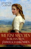 Wie fünf Mädchen im Branntwein jämmerlich umkommen (eBook, ePUB)