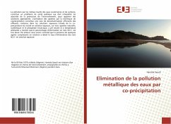 Elimination de la pollution métallique des eaux par co-précipitation - Saouli, Hamida