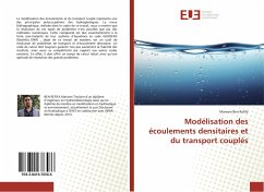 Modélisation des écoulements densitaires et du transport couplés - Ben Refifa, Marwen
