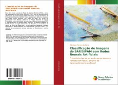 Classificação de imagens do SAR/SIPAM com Redes Neurais Artificiais - Ferreira de Sena, Edinelson