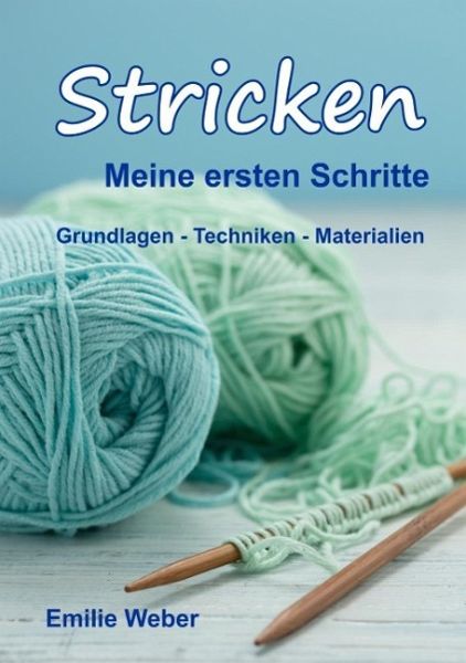 Stricken meine ersten Schritte (eBook, ePUB)