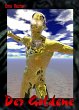 HdW-B 016: Der Goldene (eBook, ePUB) - Bild 1