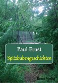 Spitzbubengeschichten (eBook, ePUB)