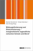 Bildungsförderung und Diskriminierung - marginalisierte Jugendliche zwischen Schule und Beruf (eBook, PDF)