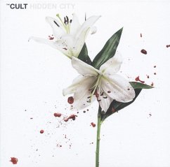 Hidden City - Cult,The