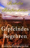 Gipfelndes Begehren (eBook, ePUB)