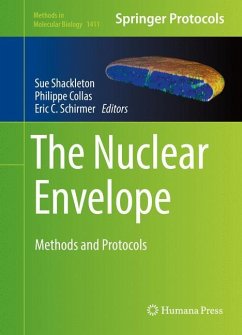 The Nuclear Envelope