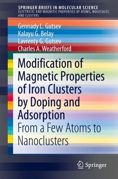 Modification of Magnetic Properties of Iron Clusters by Doping and Adsorption - Gutsev, Gennady L.; Weatherford, Charles A.; Gutsev, Lavrenty G.; Belay, Kalayu G.