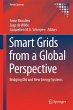 Smart Grids from a Global Perspective - Bild 1
