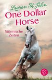 Stürmische Zeiten / One Dollar Horse Bd.3