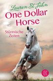 Stürmische Zeiten / One Dollar Horse Bd.3