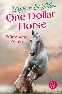 Stürmische Zeiten / One Dollar Horse Bd.3 - St. John, Lauren