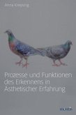 Prozesse und Funktionen des Erkennens in Ästhetischer Erfahrung