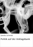 Politik auf der Anklagebank (eBook, ePUB)