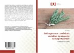 Séchage sous conditions variables du romarin sauvage tunisien