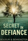 The Secret in Defiance (eBook, ePUB)