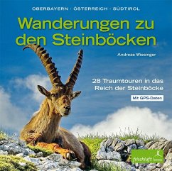 Wanderungen zu den Steinböcken - Wiesinger, Andreas