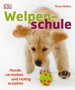 Welpenschule - Bailey, Gwen