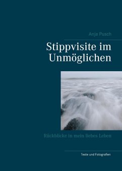Stippvisite im Unmöglichen (eBook, ePUB) - Pusch, Anja
