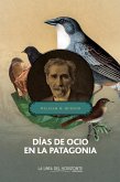 Días de ocio en la Patagonia (eBook, ePUB)