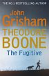 Theodore Boone: The Fugitive - Bild 1