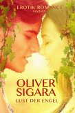 Lust der Engel: Erotik Romance Fantasy (eBook, ePUB)