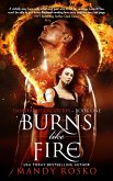 Burns Like Fire (Dangerous Creatures, #1) (eBook, ePUB)