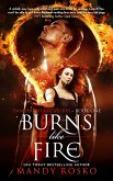 Burns Like Fire (Dangerous Creatures, #1) (eBook, ePUB) Burns Like Fire (Dangerous Creatures, #1) (eBook, ePUB)