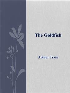 The Goldfish (eBook, ePUB) - Train, Arthur