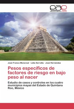 Pesos específicos de factores de riesgo en bajo peso al nacer - Franco Monsreal, José;Serralta, Lidia;Hernández, José