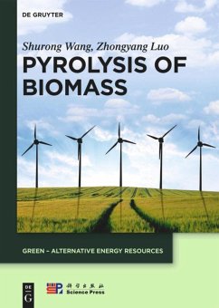 Pyrolysis of Biomass - Wang, Shurong;Luo, Zhongyang